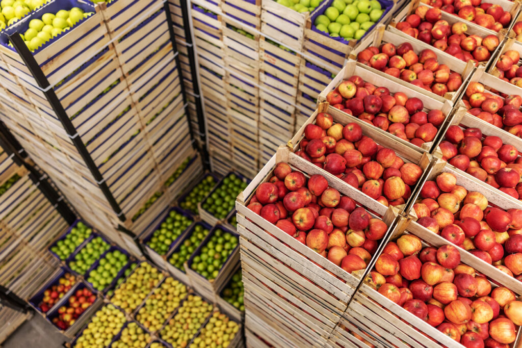 What is procurement supply chain management? Stacked crates of red and green apples in a warehouse