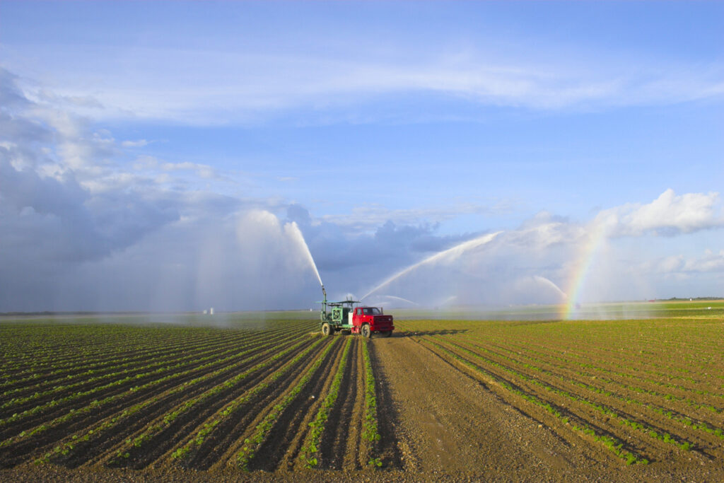 "Irrigation machine waters crop on the field in Florida, USA"