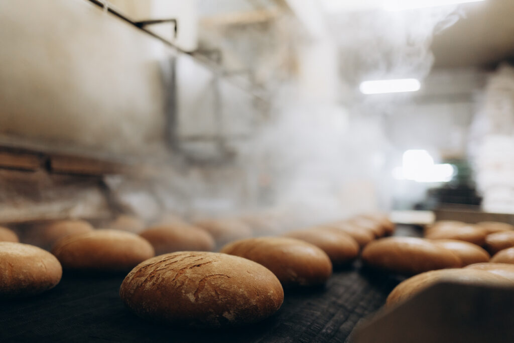 Fresh hot baked bread loafs on the production line