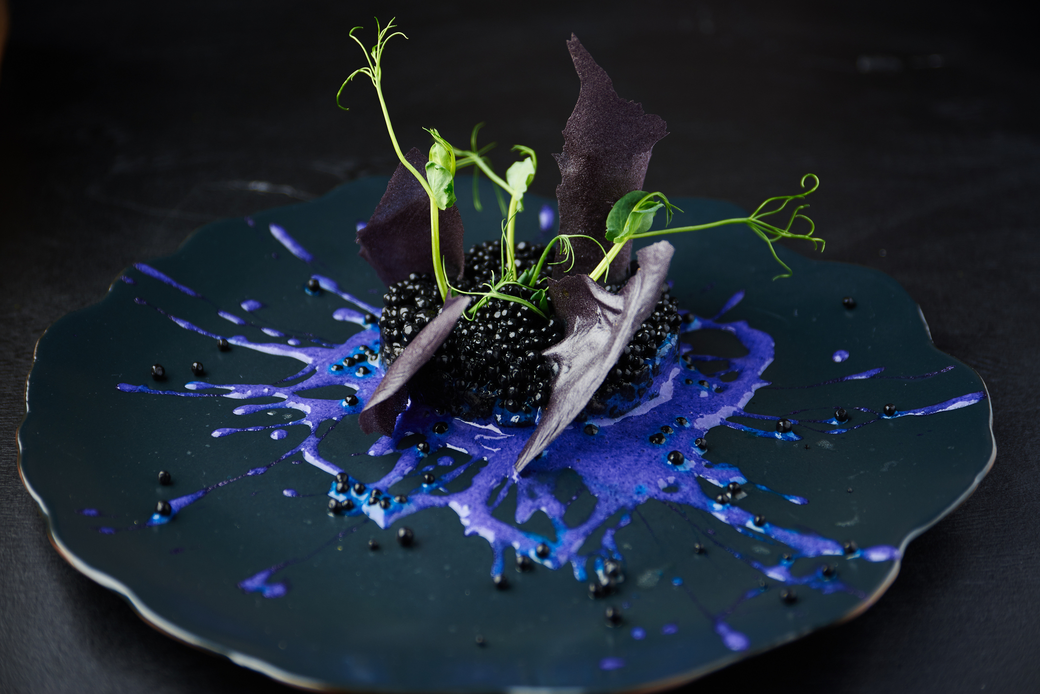 Plate with black risotto on black background with dramatic side light. Haute cuisine.